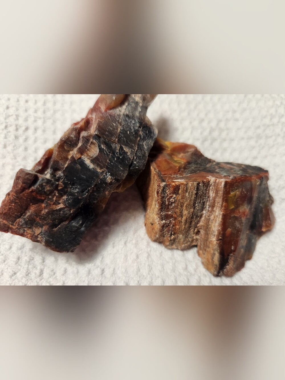 NATURAL RAINBOW PETRIFIED WOOD OF ARIZONA.  AS SHOWN IN PHOTOS